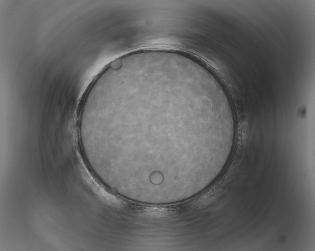 X0000115661470200912031321