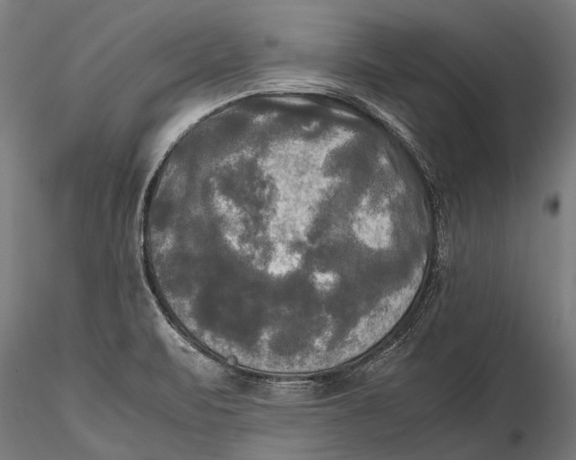X0000115661471200912031321