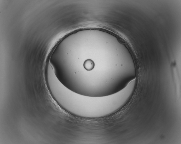 X0000115661472200912031321