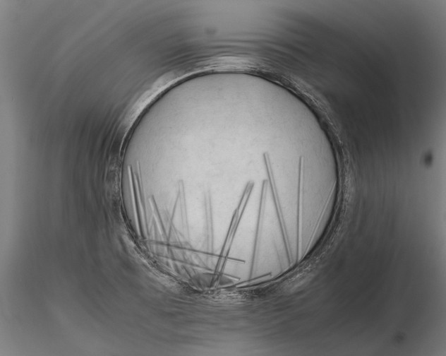 X0000115661473200912031321