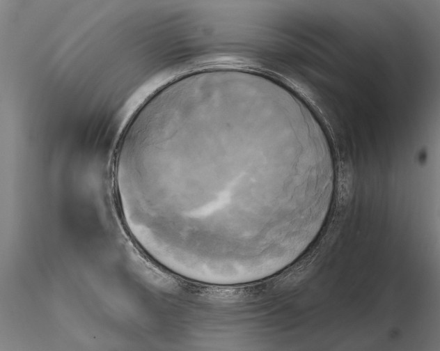 X0000115661474200912031321