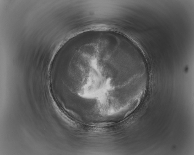 X0000115661475200912031321