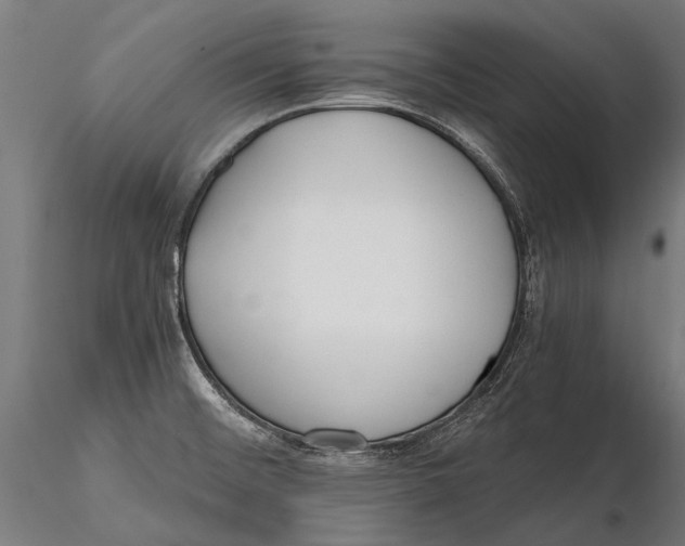 X0000115661476200912031321