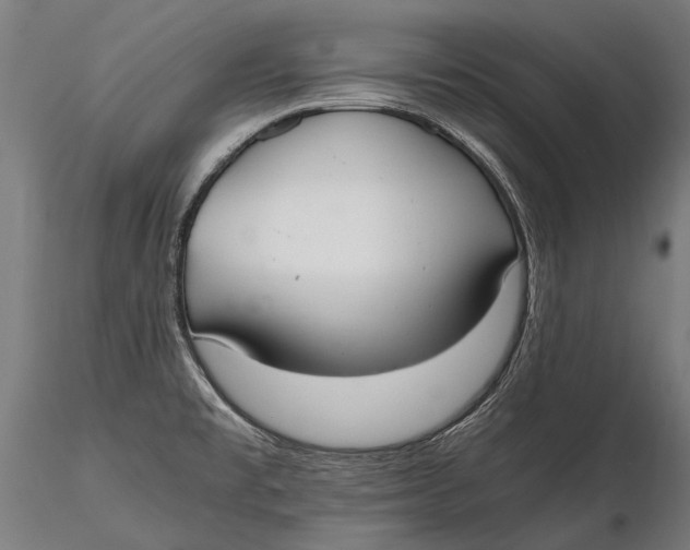 X0000115661477200912031321