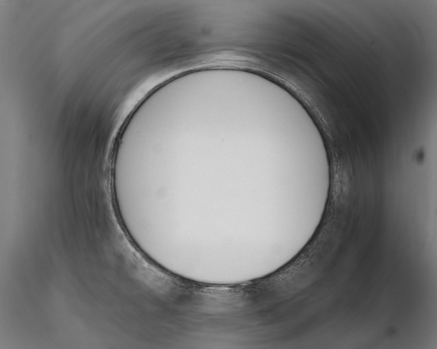 X0000115661478200912031321