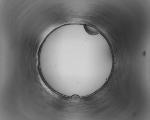 X0000115661479200912031321