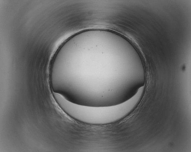 X0000115661480200912031321