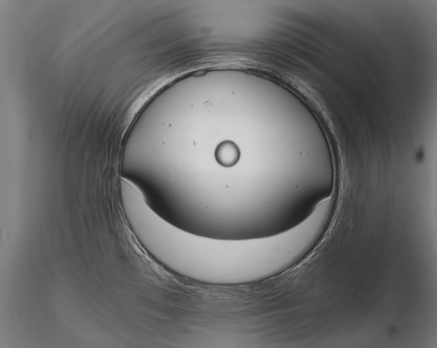 X0000115661481200912031321
