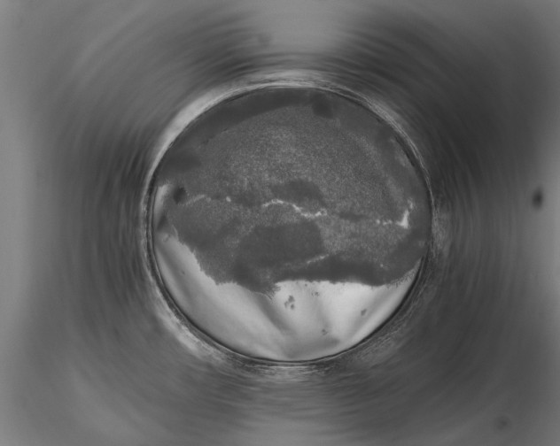 X0000115661482200912031321