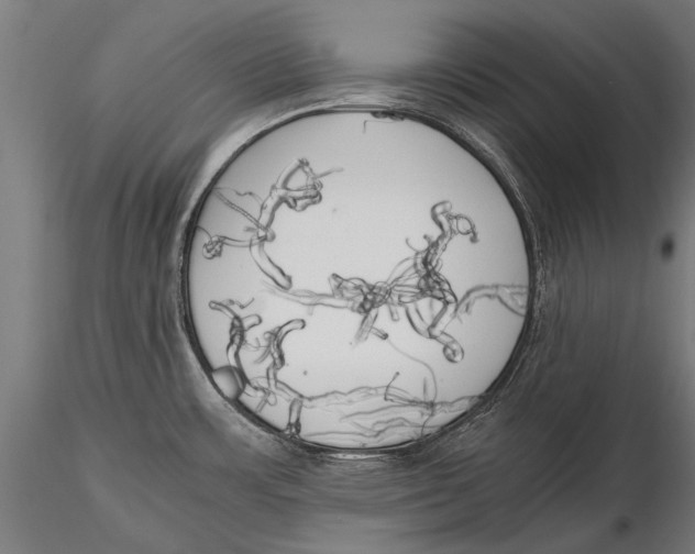 X0000115661483200912031321