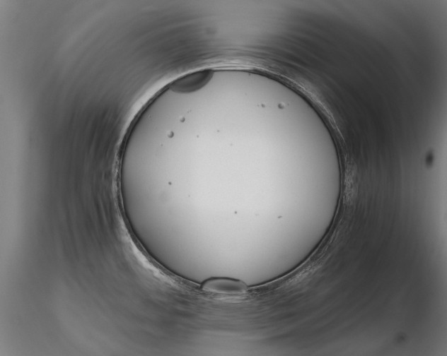 X0000115661484200912031321