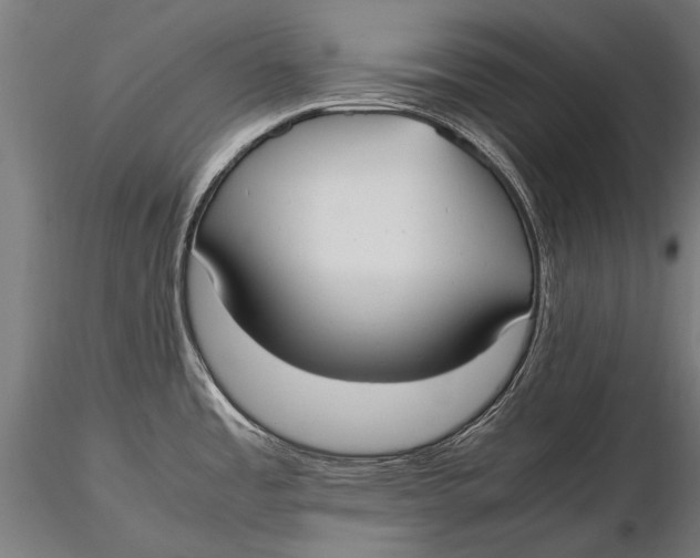 X0000115661485200912031321