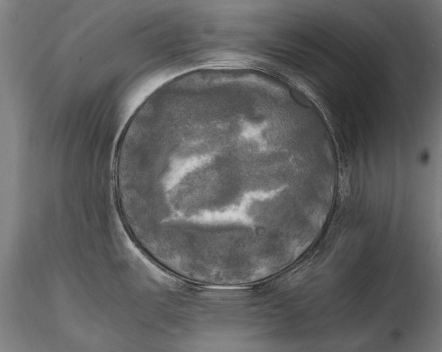 X0000115661487200912031321