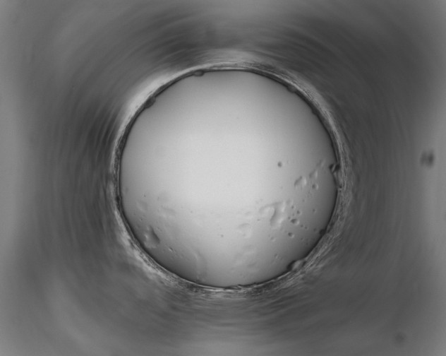X0000115661488200912031321