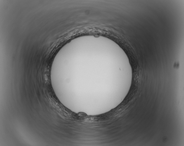 X0000115661490200912031320