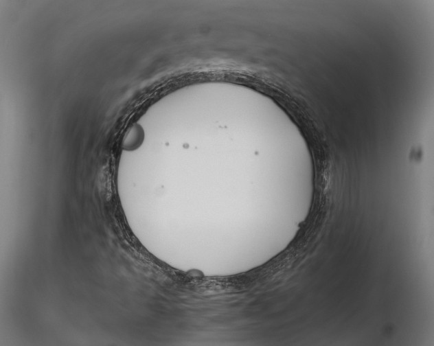 X0000115661493200912031320