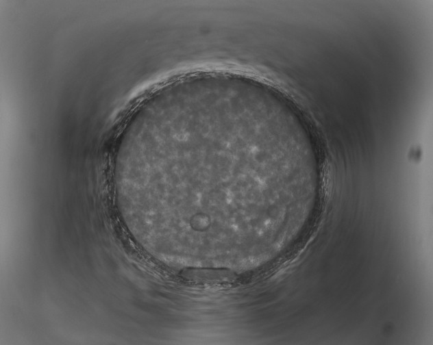 X0000115661494200912031320