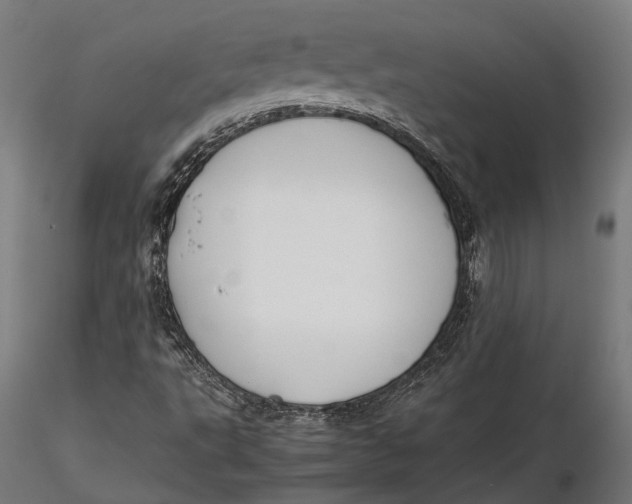 X0000115661495200912031320