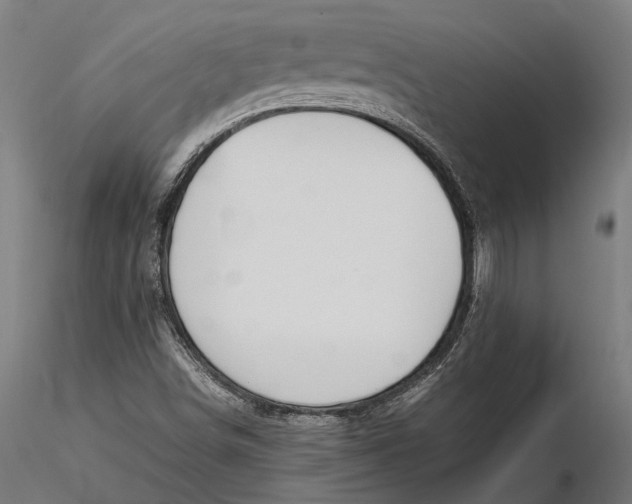 X0000115661498200912031320