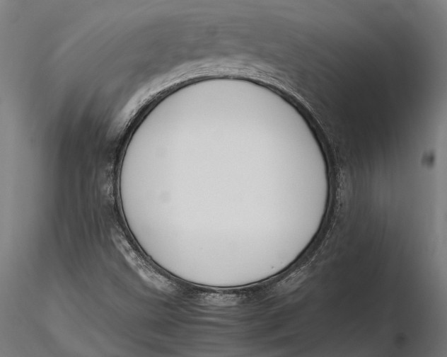 X0000115661499200912031320