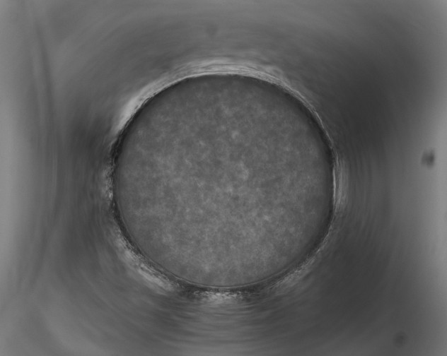 X0000115661501200912031320