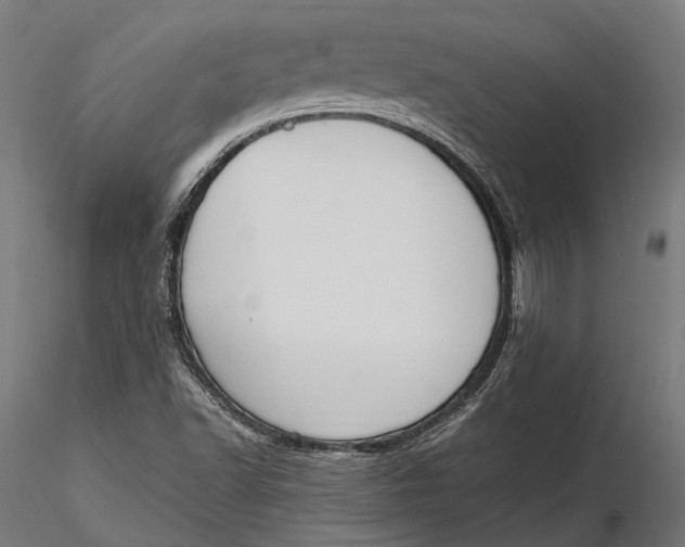 X0000115661502200912031320