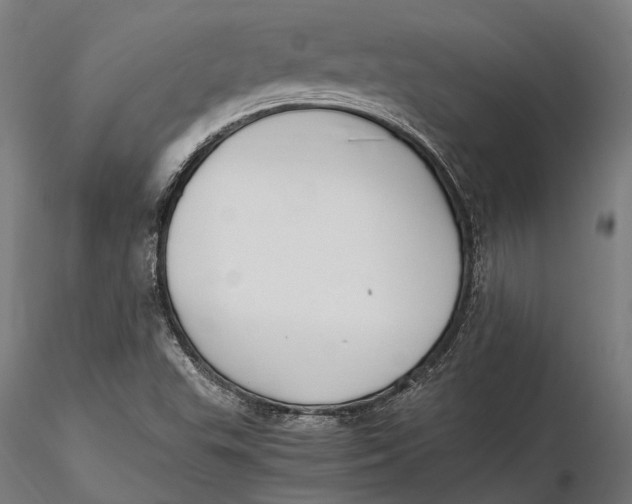 X0000115661503200912031320