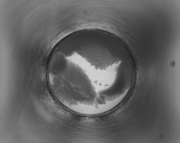 X0000115661505200912031320