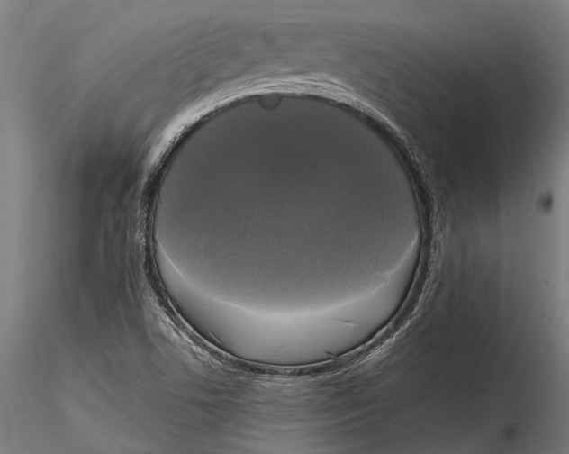 X0000115661506200912031320