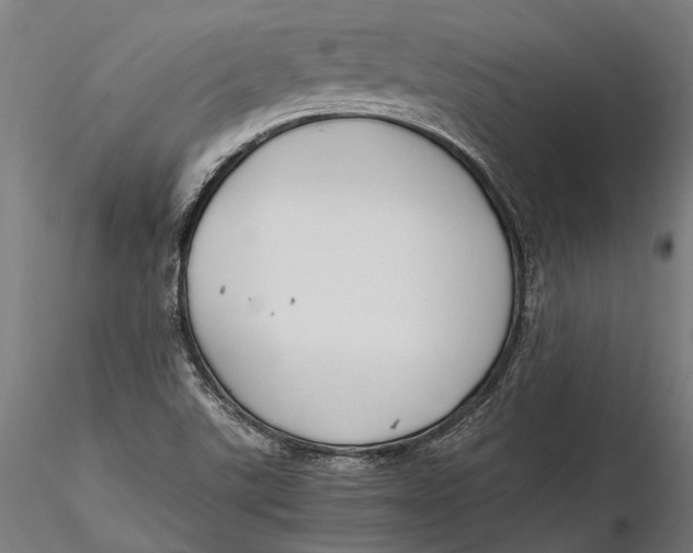 X0000115661507200912031320