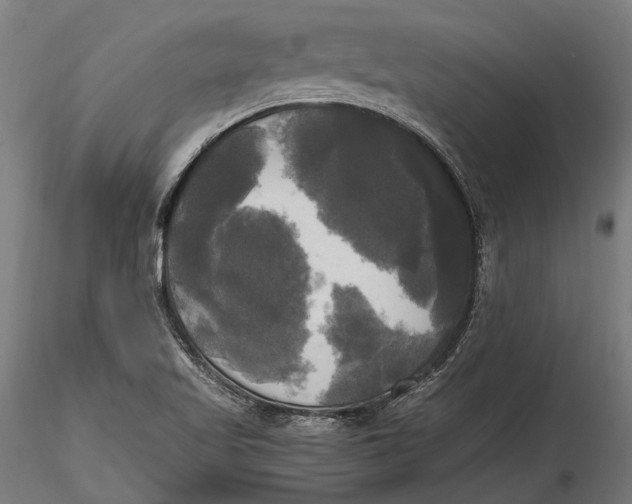 X0000115661509200912031320