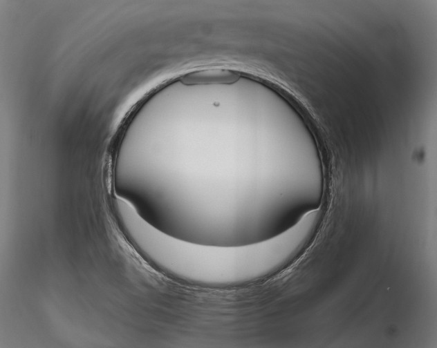 X0000115661510200912031320