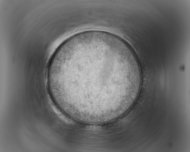 X0000115661511200912031320