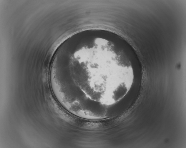 X0000115661513200912031320