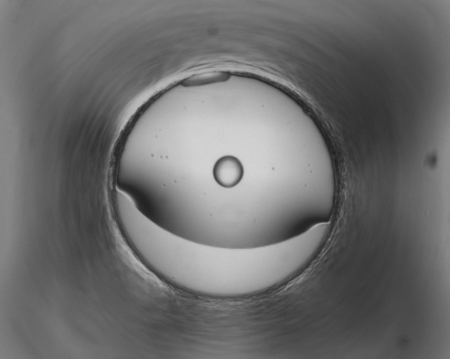 X0000115661518200912031320