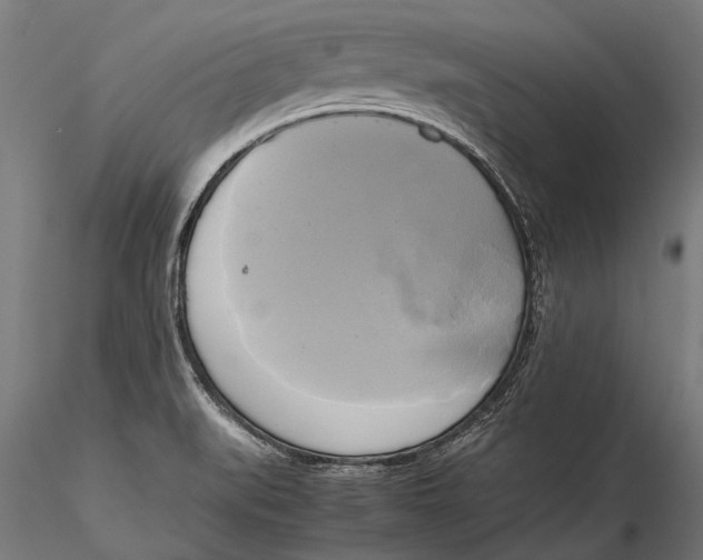 X0000115661519200912031320