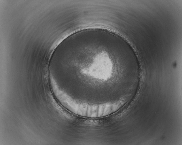 X0000115661521200912031320