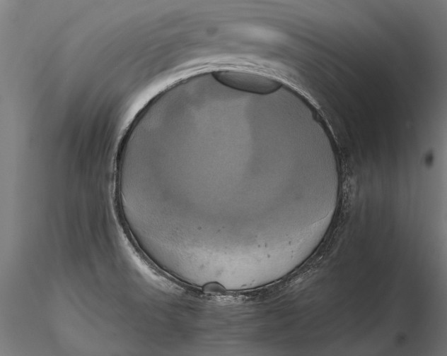 X0000115661523200912031320