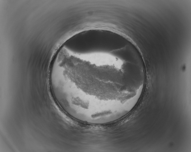 X0000115661525200912031320