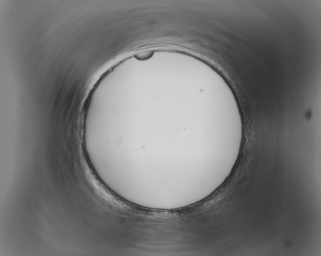 X0000115661526200912031320