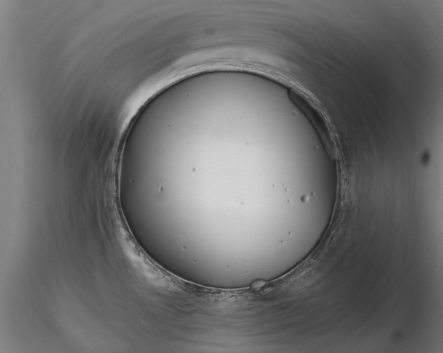 X0000115661530200912031321
