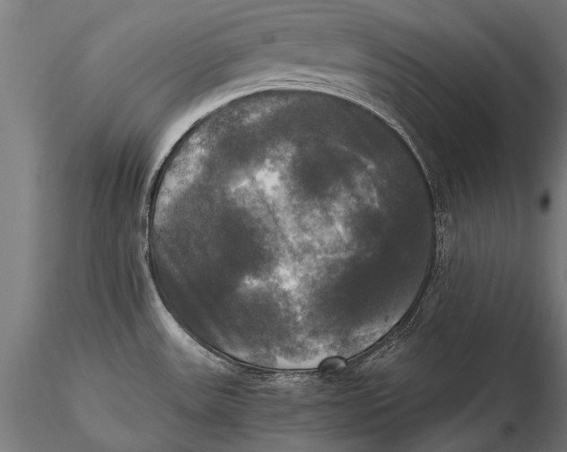 X0000115661531200912031321