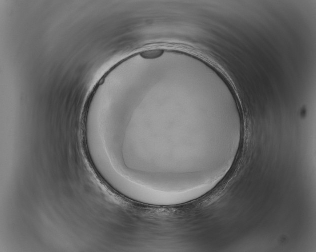 X0000115661533200912031321