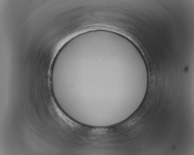 X0000115661535200912031321