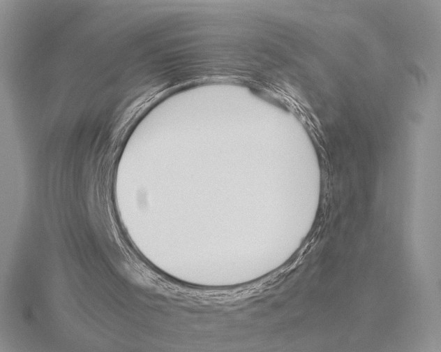 X0000115660001200912101101