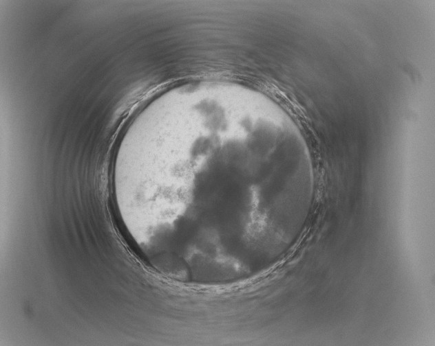 X0000115660002200912101101