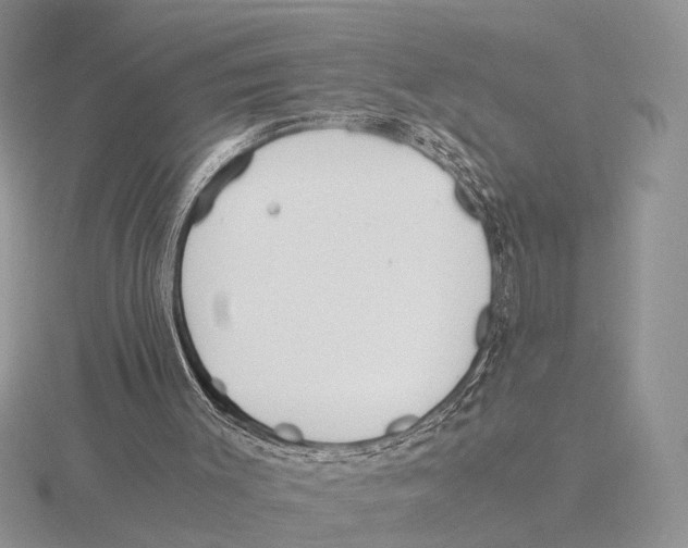 X0000115660003200912101101