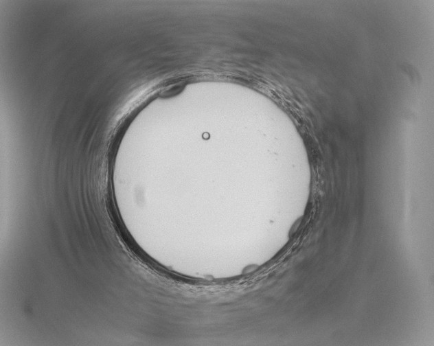 X0000115660005200912101101