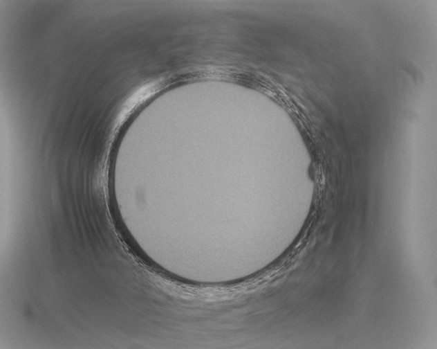 X0000115660006200912101101