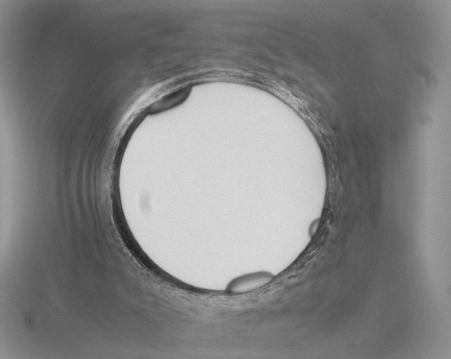 X0000115660007200912101101